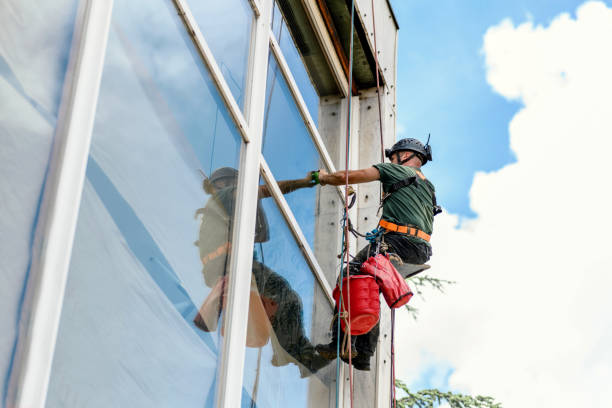 Best Hurricane Windows  in Los Molinos, CA